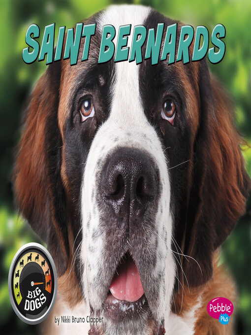 Title details for Saint Bernards by Nikki Bruno Clapper - Available